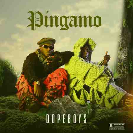 Dope Boys - Nakaba Remix (ft. T Sean, Blood Kid, Zem Wood, Fik Fameica) Mp3 Download