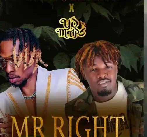 Mr Dove Zayn ft Yo Maps - Mr Right Mp3 Download
