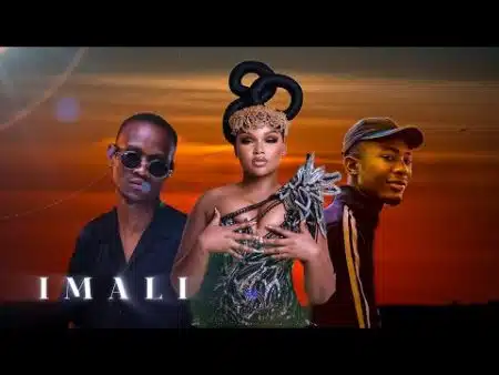 MaWhoo – Tholukuthi Ngidinga Imali Mp3 Download 