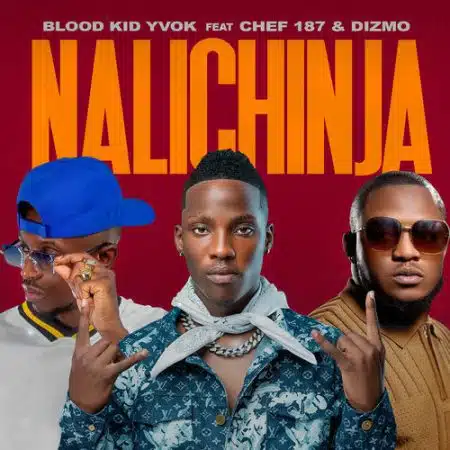 Blood Kid ft Chef 187 & Dizmo - Nalichinja Mp3 Download