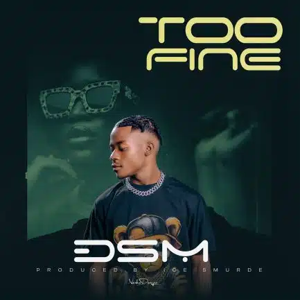 DSM - Too Fine