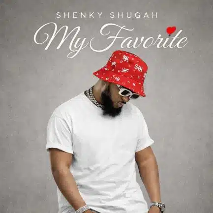 Shenky - My Favorite Mp3 Download