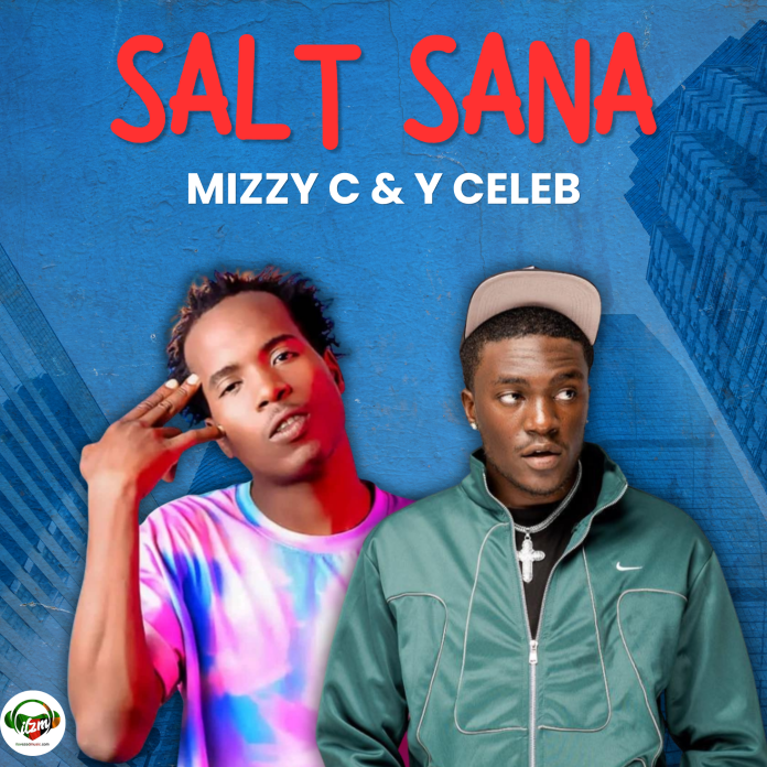 Mizzy C ft Y Celeb – Salt Sana Mp3 Download