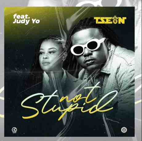 T Sean ft Judy Yo - Not Stupid Mp3 Download