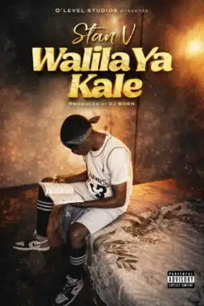 Stan V - Walilaya Kale