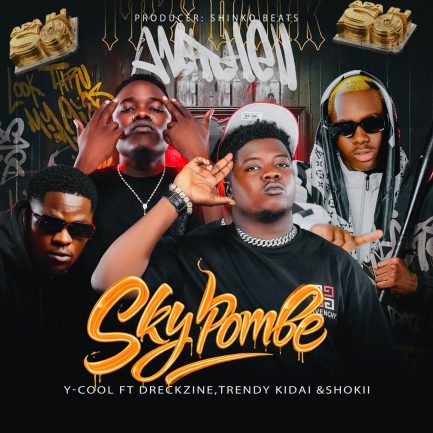 Y Cool ft Shokii Mwana Chibolya, Dreckzine & Trendy Kidai - SkyPombe Mp3 Download